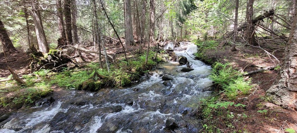 574 Poco Lobo Rd, Troy (MT), MT 59935 photo 3