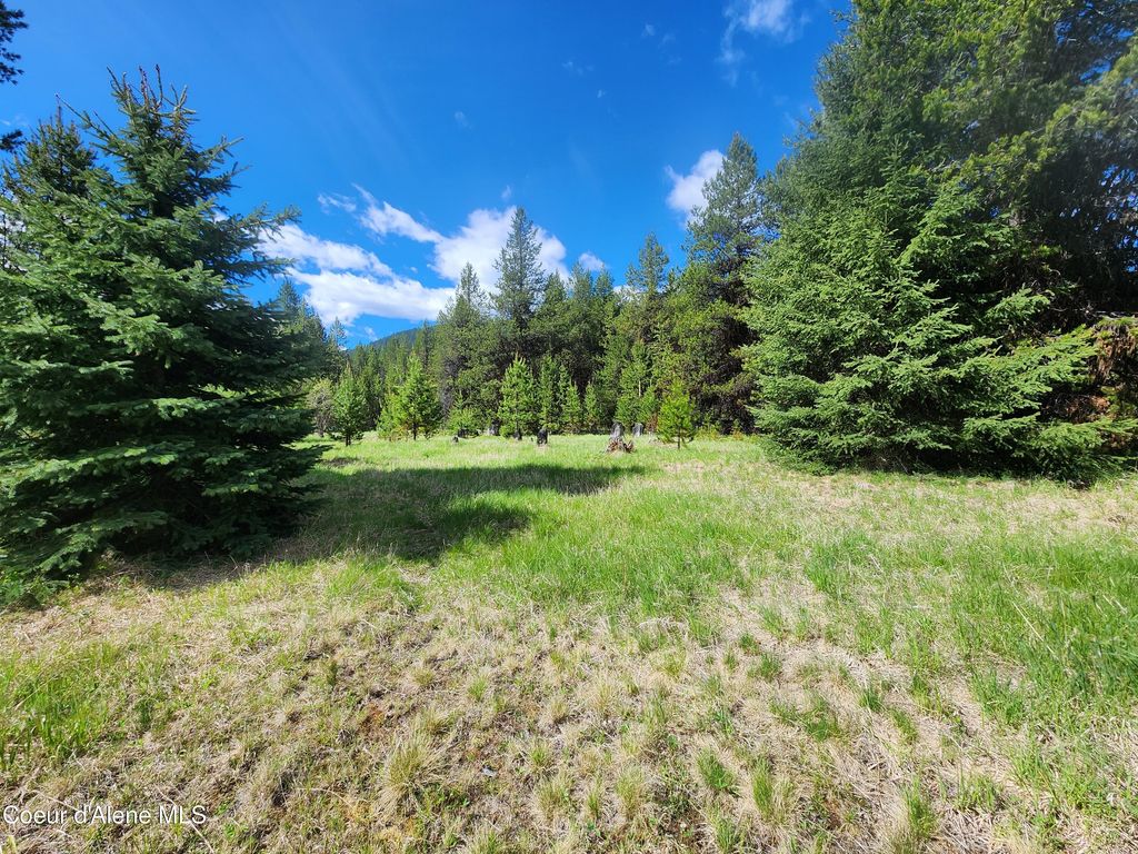 574 Poco Lobo Rd, Troy (MT), MT 59935 photo 5