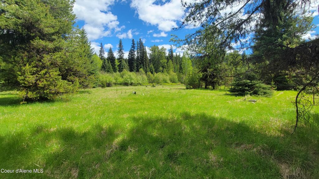 574 Poco Lobo Rd, Troy (MT), MT 59935 photo 6