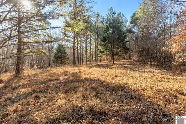 6303 Pottertown Road, Murray, KY 42071