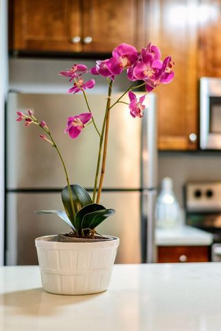 6148 Shelter Creek Lane, San Bruno, CA 94066