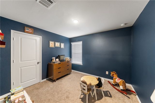 26431 Pin Oak Drive, Hempstead, TX 77445