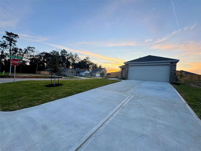 16734 Largetooth Aspen Lane, New Caney, TX 77357