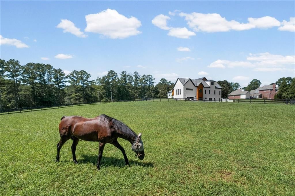 Image 86 of property listing at 14735 Wood Road, Milton, GA 30004