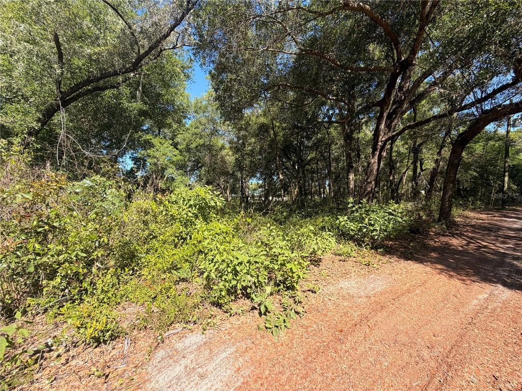 10185 CREEKFIELD ROAD, Brooksville, FL 34613