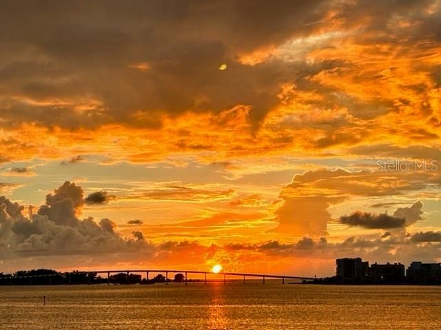 55 ROGERS STREET 204, Clearwater, FL 33756