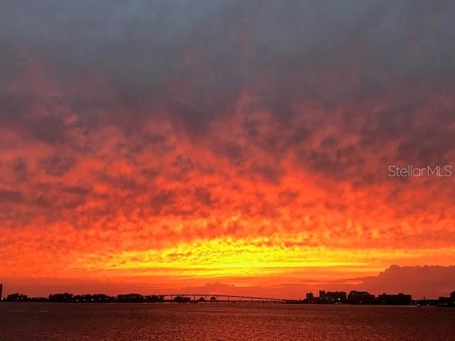 55 ROGERS STREET 204, Clearwater, FL 33756