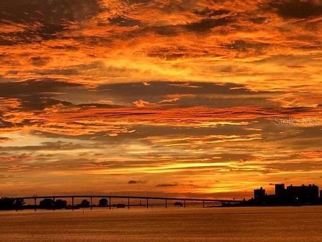 55 ROGERS STREET 204, Clearwater, FL 33756