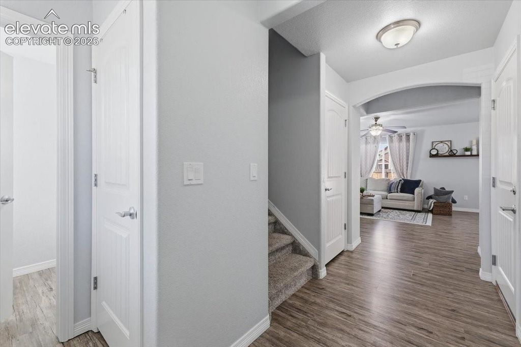 6246 Wild Turkey Drive, Colorado Springs, CO 80925 — photo 4