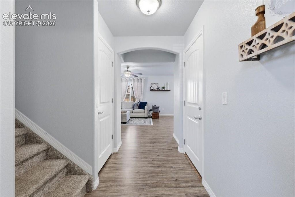 6246 Wild Turkey Drive, Colorado Springs, CO 80925 — photo 5