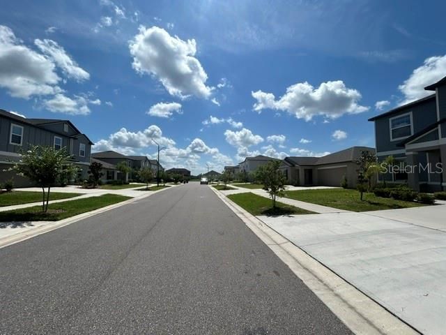 22164 N CALISTO WAY N, Land O Lakes, FL 34637
