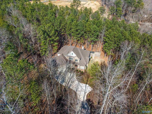 13390 S Shawdee Road, Huntsville, AL 35803