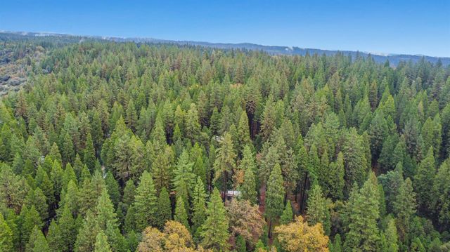 19159 Allan Rd, Volcano, CA 95689