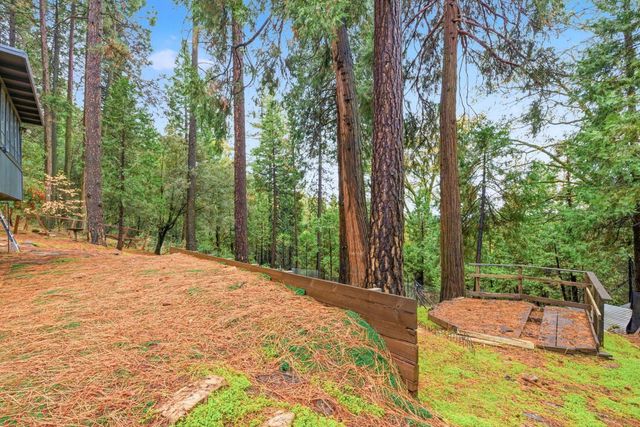 19159 Allan Rd, Volcano, CA 95689