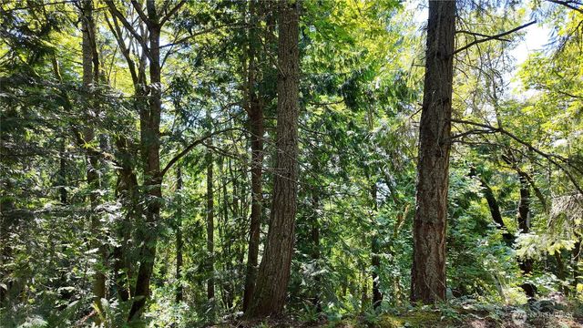 0 Oyster Creek Lane, Bow, WA 98232