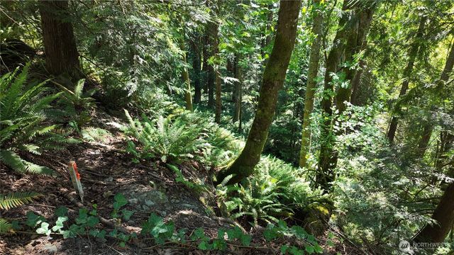 0 Oyster Creek Lane, Bow, WA 98232