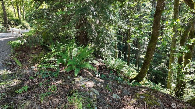 0 Oyster Creek Lane, Bow, WA 98232