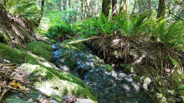 0 Oyster Creek Lane, Bow, WA 98232