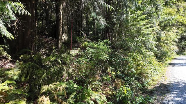 0 Oyster Creek Lane, Bow, WA 98232