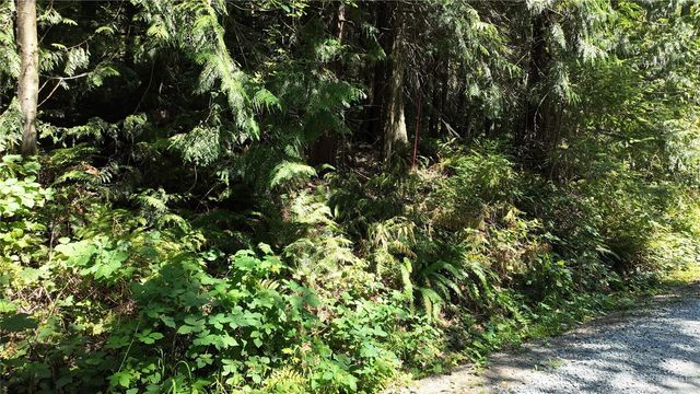 0 Oyster Creek Lane, Bow, WA 98232
