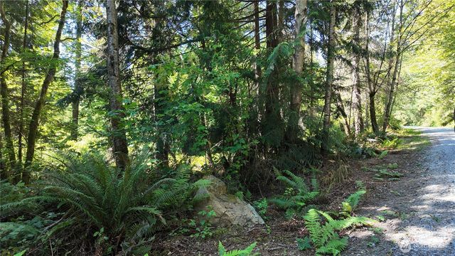 0 Oyster Creek Lane, Bow, WA 98232