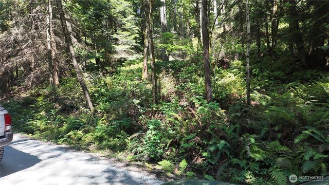 0 Oyster Creek Lane, Bow, WA 98232