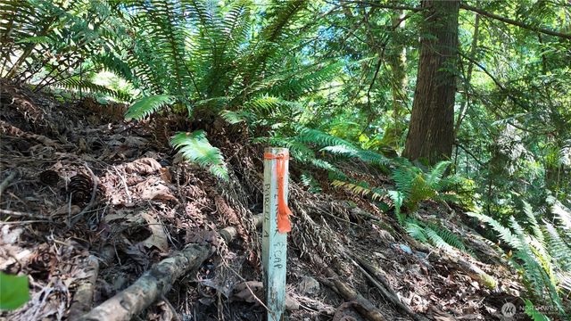 0 Oyster Creek Lane, Bow, WA 98232