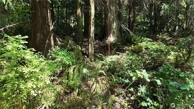 0 Oyster Creek Lane, Bow, WA 98232