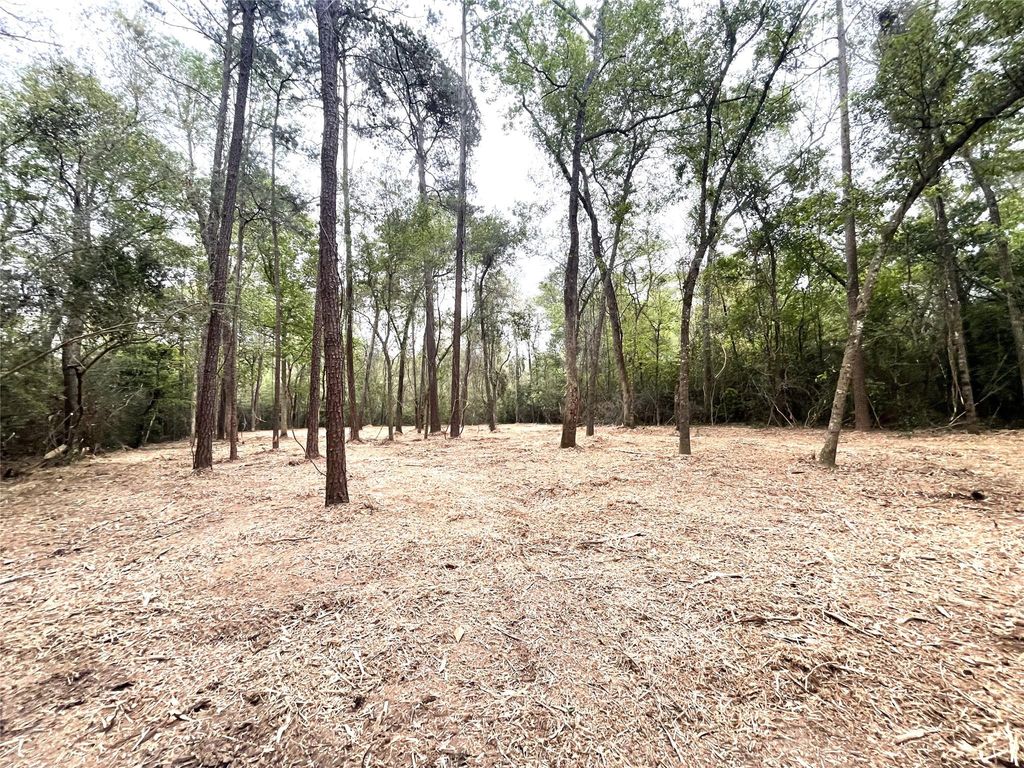 0 Lilac Lane, New Caney, TX 77357