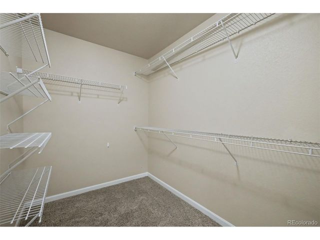 6623 Young Oak Grv, Colorado Springs, CO 80923