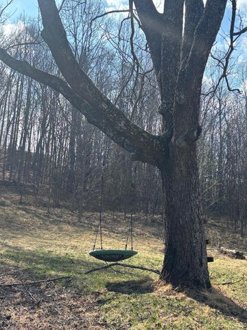 3045 Mountain Pass RD, Troutville, VA 24175