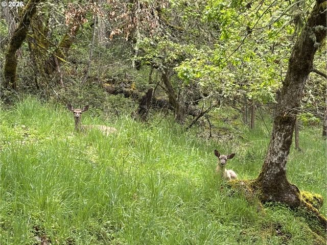 213 TRAILSIDE Loop, Eugene, OR 97405