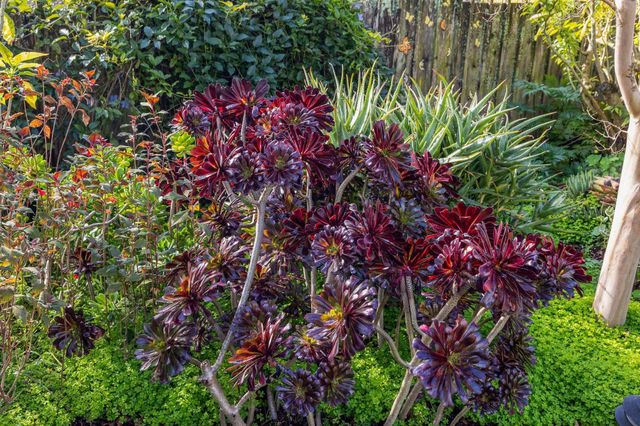 6254 Girvin Drive, Oakland, CA 94611