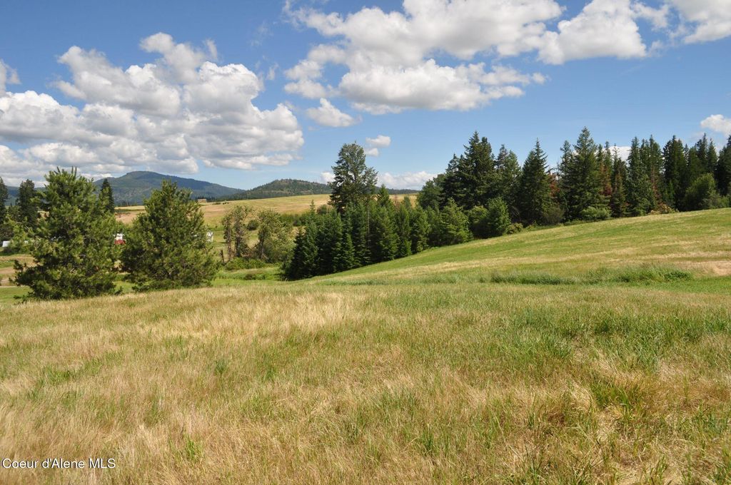 NNA Highway 97, St. Maries, ID 83861 photo 3