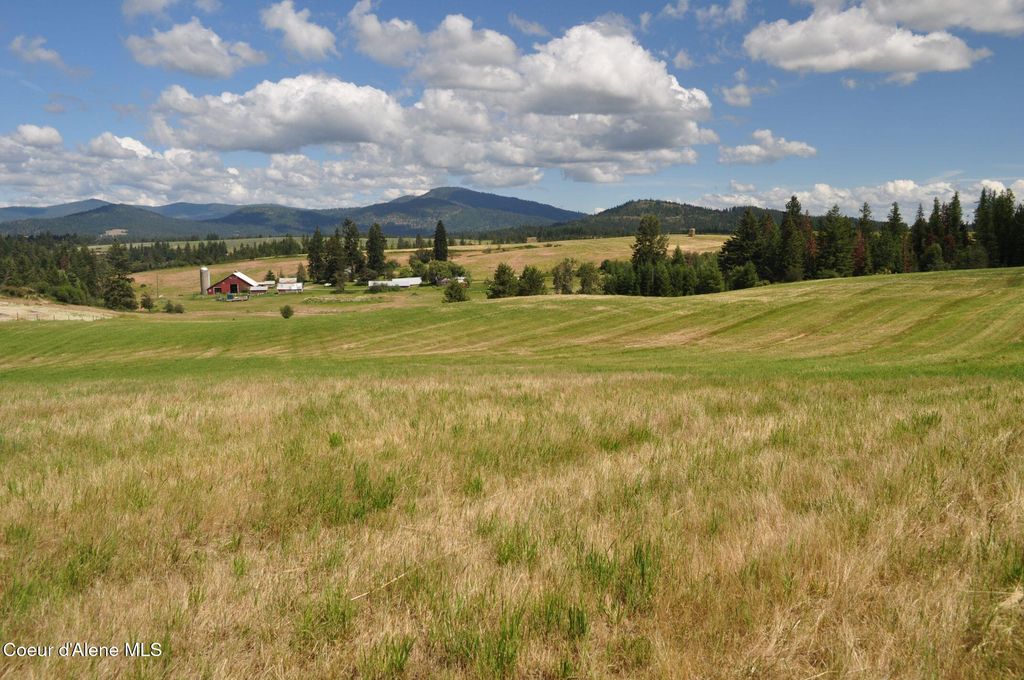 NNA Highway 97, St. Maries, ID 83861 photo 4