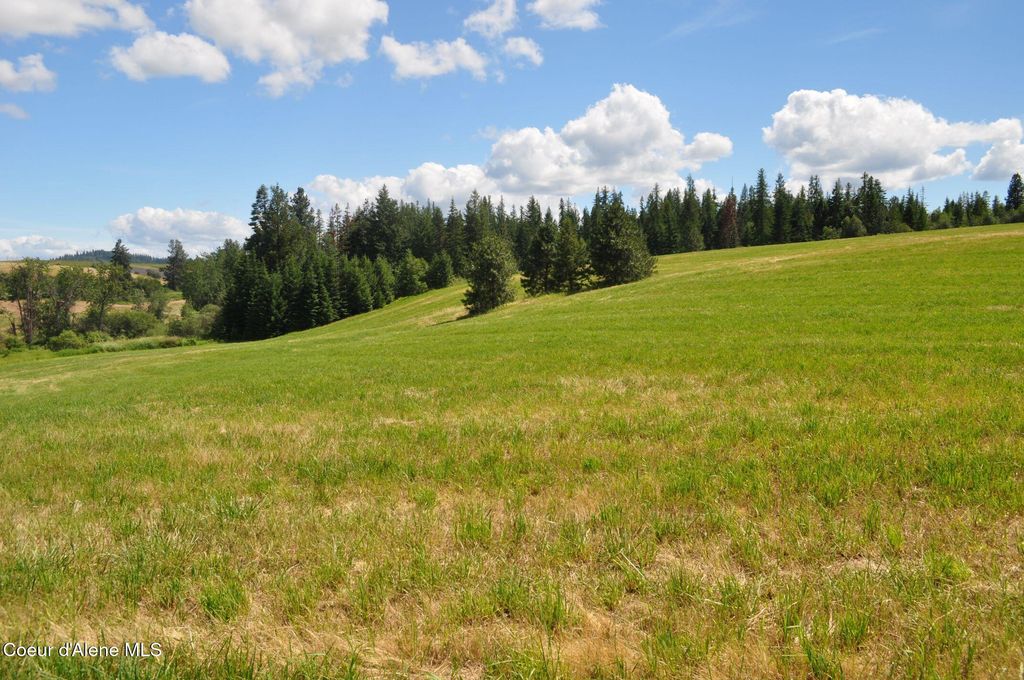 NNA Highway 97, St. Maries, ID 83861 photo 5