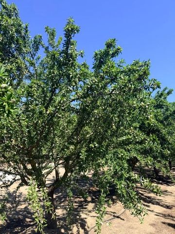 4331-4413 Service Rd, Ceres, CA 95307