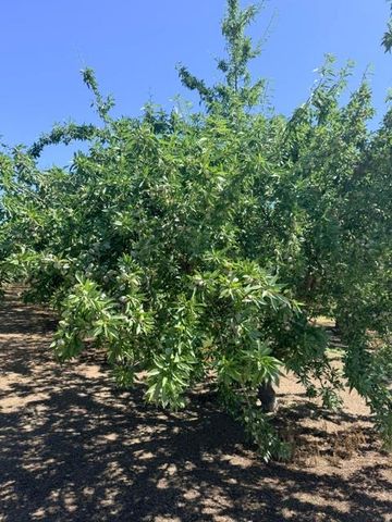 4331-4413 Service Rd, Ceres, CA 95307