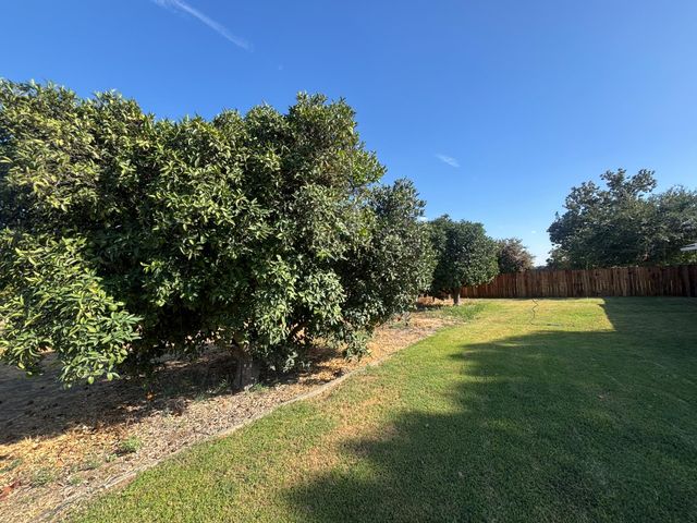 19317 E Parlier Avenue, Reedley, CA 93654