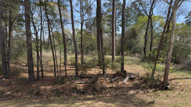 31910 Oaks Crossing, Magnolia, TX 77355