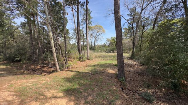 31910 Oaks Crossing, Magnolia, TX 77355