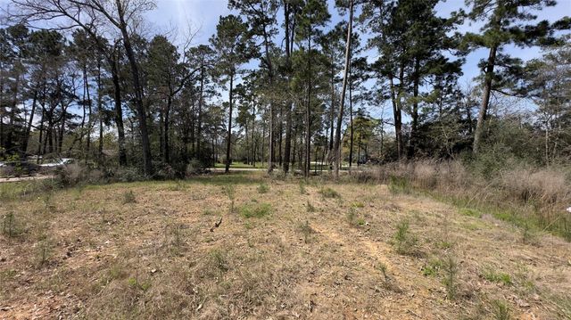 31910 Oaks Crossing, Magnolia, TX 77355