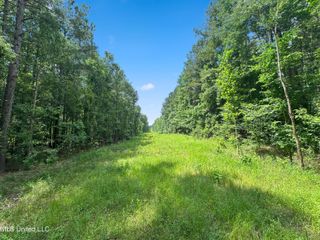 Antioch Shiloh Road, Pelahatchie, MS 39145