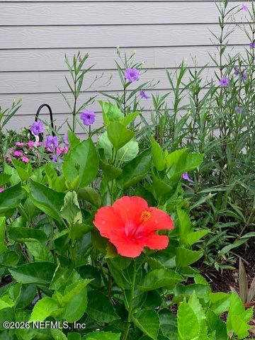 281 TINTAMARRE Drive, St. Augustine, FL 32092