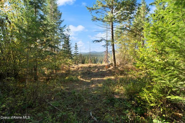 NNA Sunsetter Lane Lot 3, Cocolalla, ID 83813