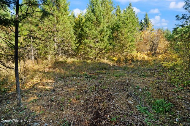 NNA Sunsetter Lane Lot 3, Cocolalla, ID 83813