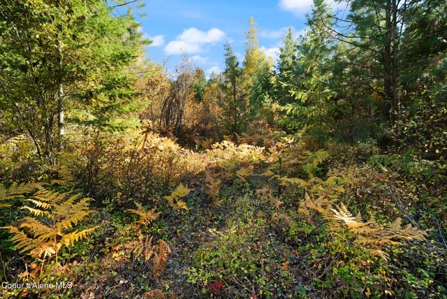 NNA Sunsetter Lane Lot 3, Cocolalla, ID 83813