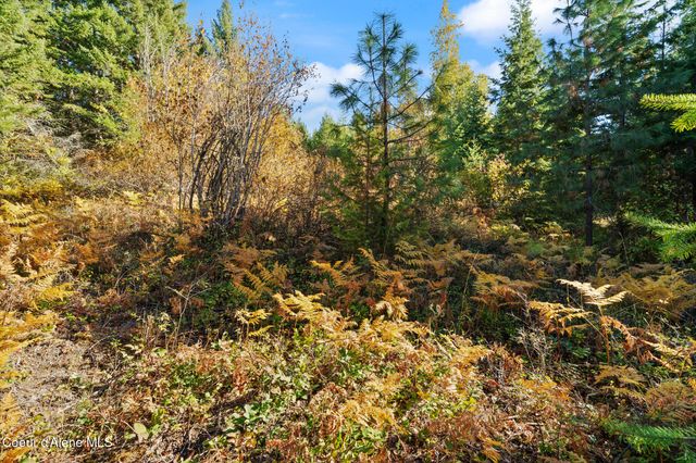 NNA Sunsetter Lane Lot 3, Cocolalla, ID 83813