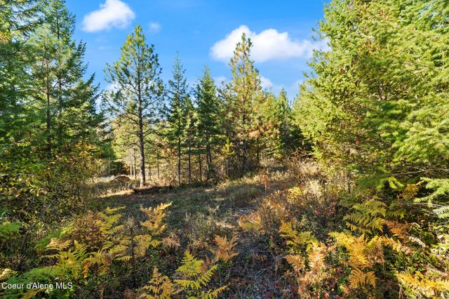 NNA Sunsetter Lane Lot 3, Cocolalla, ID 83813