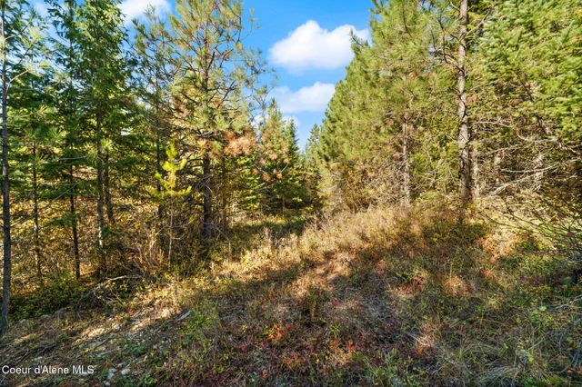 NNA Sunsetter Lane Lot 3, Cocolalla, ID 83813